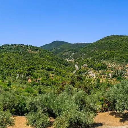 Fotini Kalivi In Raches