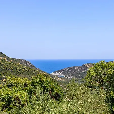 Willa Fotini Kalivi In Raches *