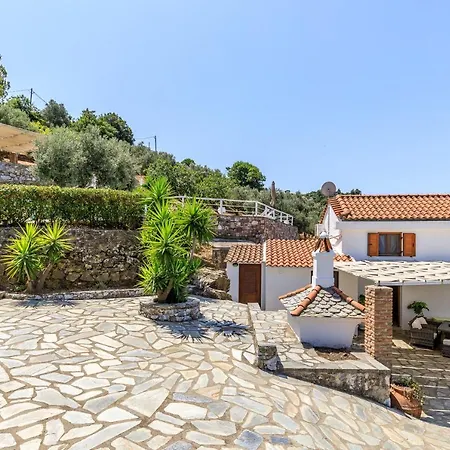 Fotini Kalivi In Raches